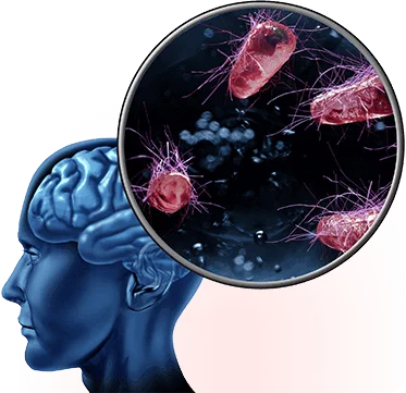 The Memory Wave-supplement